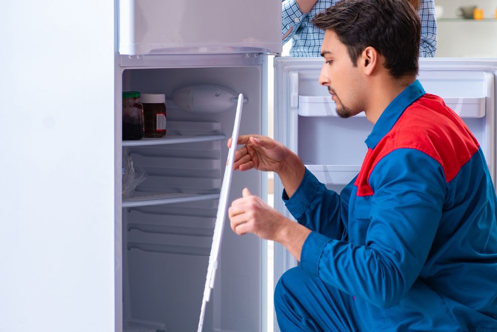 A man and woman are engaged in repairing an open refrigerator, highlighting small appliance repair services in Washington, DC.